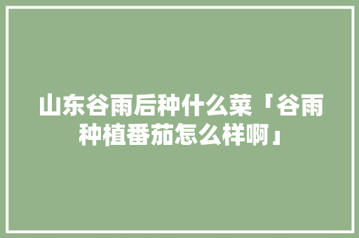 山东谷雨后种什么菜「谷雨种植番茄怎么样啊」 山东谷雨后种什么菜「谷雨种植番茄怎么样啊」 番茄种植技巧