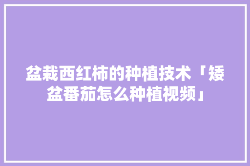 盆栽西红柿的种植技术「矮盆番茄怎么种植视频」 盆栽西红柿的种植技术「矮盆番茄怎么种植视频」 农业常识
