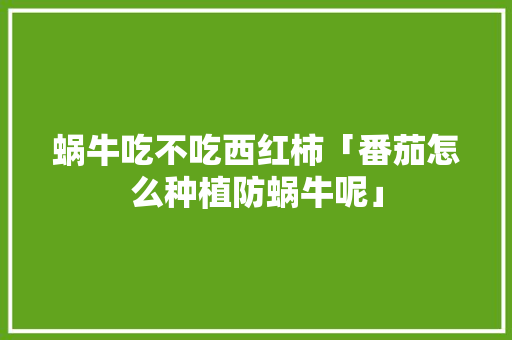 蜗牛吃不吃西红柿「番茄怎么种植防蜗牛呢」