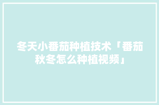 冬天小番茄种植技术「番茄秋冬怎么种植视频」 冬天小番茄种植技术「番茄秋冬怎么种植视频」 种植技巧