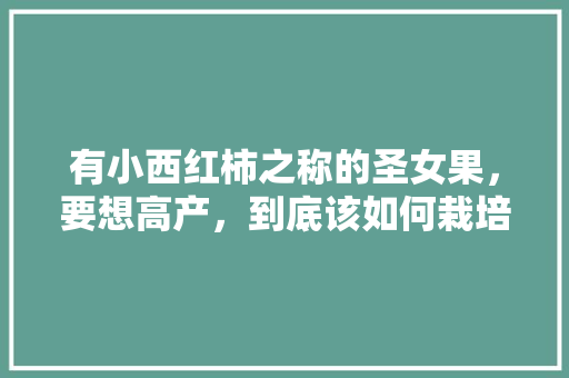 有小西红柿之称的圣女果，要想高产，到底该如何栽培「野生小番茄怎么样种植视频」 有小西红柿之称的圣女果，要想高产，到底该如何栽培「野生小番茄怎么样种植视频」 土壤施肥