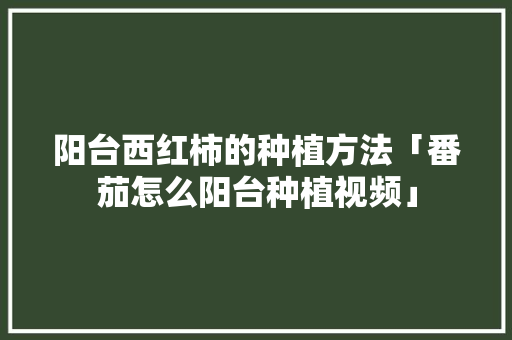 阳台西红柿的种植方法「番茄怎么阳台种植视频」 阳台西红柿的种植方法「番茄怎么阳台种植视频」 番茄种植技巧