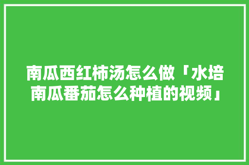 南瓜西红柿汤怎么做「水培南瓜番茄怎么种植的视频」