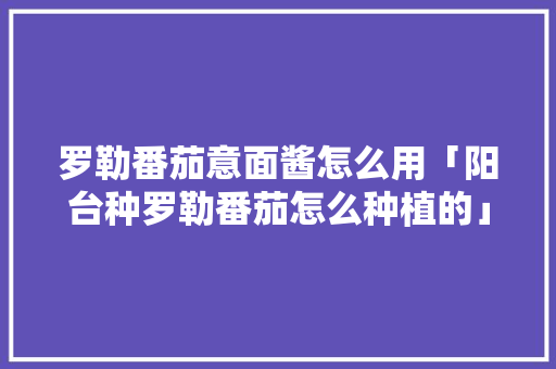 罗勒番茄意面酱怎么用「阳台种罗勒番茄怎么种植的」