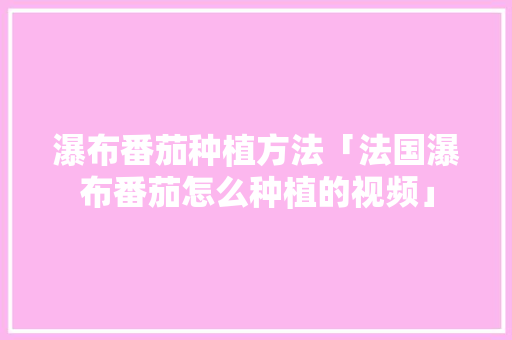 瀑布番茄种植方法「法国瀑布番茄怎么种植的视频」 瀑布番茄种植方法「法国瀑布番茄怎么种植的视频」 种植技巧