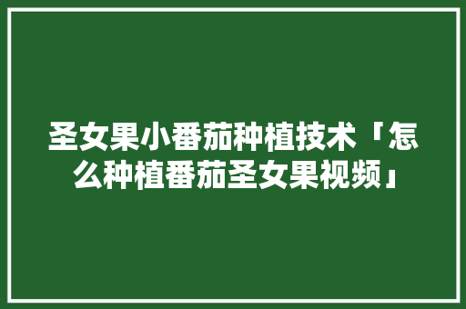 圣女果小番茄种植技术「怎么种植番茄圣女果视频」 圣女果小番茄种植技术「怎么种植番茄圣女果视频」 土壤施肥