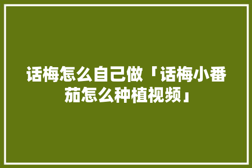 话梅怎么自己做「话梅小番茄怎么种植视频」 话梅怎么自己做「话梅小番茄怎么种植视频」 土壤施肥