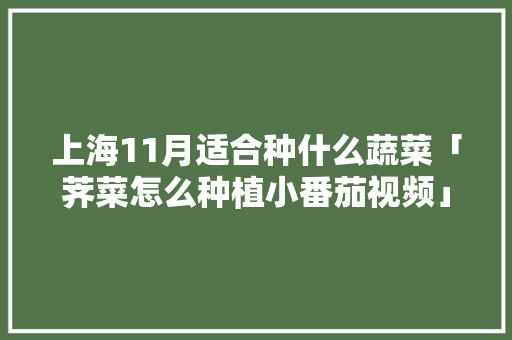 上海11月适合种什么蔬菜「荠菜怎么种植小番茄视频」 土壤施肥 上海11月适合种什么蔬菜「荠菜怎么种植小番茄视频」 上海11月适合种什么蔬菜「荠菜怎么种植小番茄视频」 土壤施肥