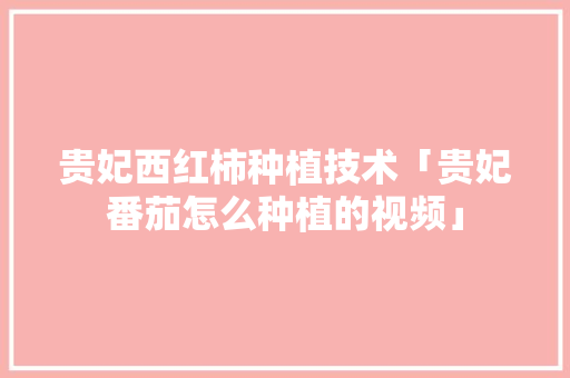 贵妃西红柿种植技术「贵妃番茄怎么种植的视频」 贵妃西红柿种植技术「贵妃番茄怎么种植的视频」 植物种类