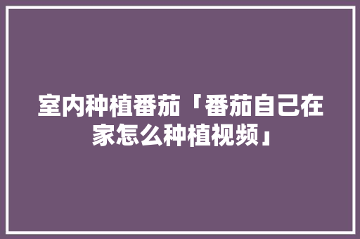 室内种植番茄「番茄自己在家怎么种植视频」 室内种植番茄「番茄自己在家怎么种植视频」 种植技巧