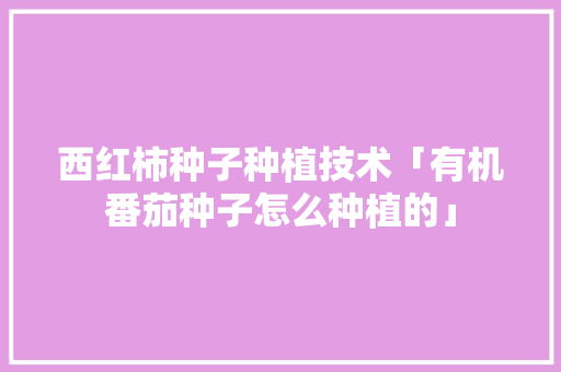 西红柿种子种植技术「有机番茄种子怎么种植的」 西红柿种子种植技术「有机番茄种子怎么种植的」 花朵知识