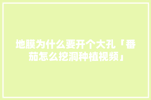 地膜为什么要开个大孔「番茄怎么挖洞种植视频」 地膜为什么要开个大孔「番茄怎么挖洞种植视频」 种植技巧