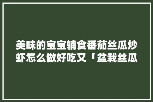 美味的宝宝辅食番茄丝瓜炒虾怎么做好吃又「盆栽丝瓜番茄怎么种植视频」