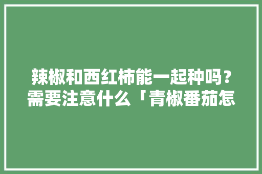 辣椒和西红柿能一起种吗？需要注意什么「青椒番茄怎么种植方法视频」 辣椒和西红柿能一起种吗？需要注意什么「青椒番茄怎么种植方法视频」 种植技巧