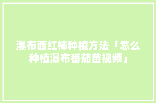 瀑布西红柿种植方法「怎么种植瀑布番茄苗视频」 瀑布西红柿种植方法「怎么种植瀑布番茄苗视频」 农业常识