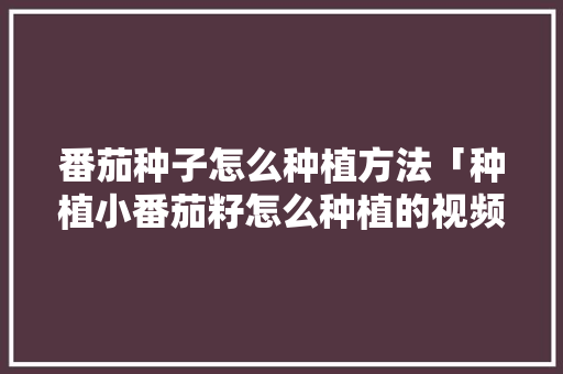 番茄种子怎么种植方法「种植小番茄籽怎么种植的视频」 番茄种子怎么种植方法「种植小番茄籽怎么种植的视频」 种植技巧