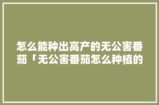 怎么能种出高产的无公害番茄「无公害番茄怎么种植的视频」