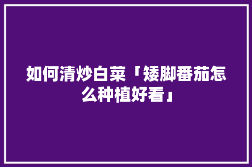如何清炒白菜「矮脚番茄怎么种植好看」