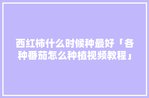 西红柿什么时候种最好「各种番茄怎么种植视频教程」 番茄种植技巧 西红柿什么时候种最好「各种番茄怎么种植视频教程」 西红柿什么时候种最好「各种番茄怎么种植视频教程」 番茄种植技巧