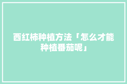 西红柿种植方法「怎么才能种植番茄呢」 西红柿种植方法「怎么才能种植番茄呢」 土壤施肥
