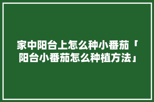 家中阳台上怎么种小番茄「阳台小番茄怎么种植方法」 家中阳台上怎么种小番茄「阳台小番茄怎么种植方法」 番茄病虫害防治