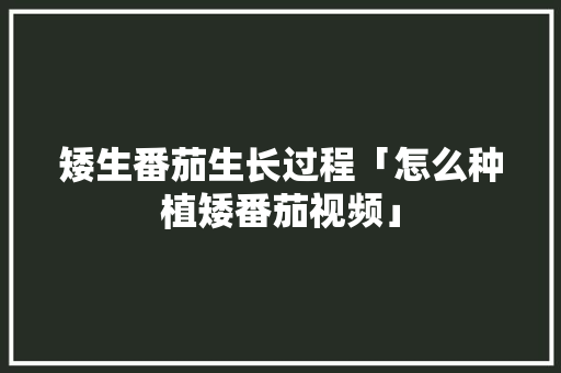 矮生番茄生长过程「怎么种植矮番茄视频」 矮生番茄生长过程「怎么种植矮番茄视频」 种植技巧