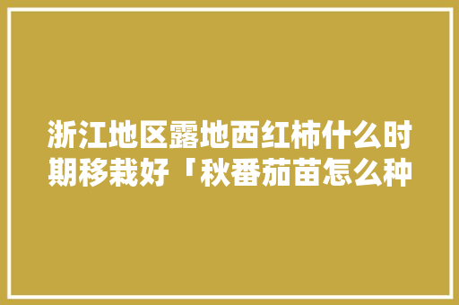 浙江地区露地西红柿什么时期移栽好「秋番茄苗怎么种植视频」 浙江地区露地西红柿什么时期移栽好「秋番茄苗怎么种植视频」 植物种类
