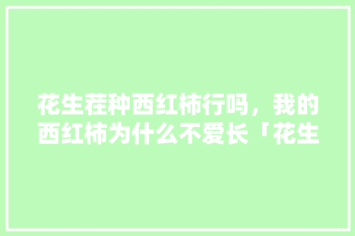 花生茬种西红柿行吗，我的西红柿为什么不爱长「花生番茄怎么种植方法」