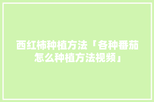 西红柿种植方法「各种番茄怎么种植方法视频」 西红柿种植方法「各种番茄怎么种植方法视频」 花朵知识