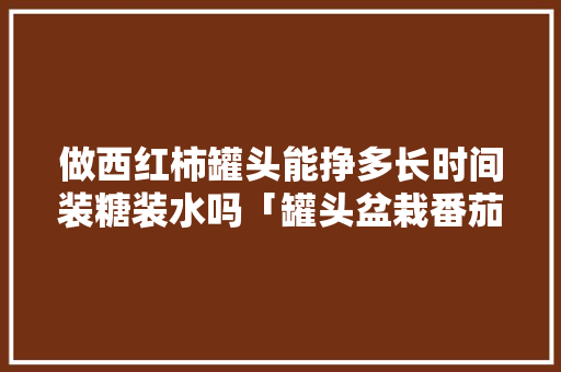 做西红柿罐头能挣多长时间装糖装水吗「罐头盆栽番茄怎么种植视频」 做西红柿罐头能挣多长时间装糖装水吗「罐头盆栽番茄怎么种植视频」 土壤施肥
