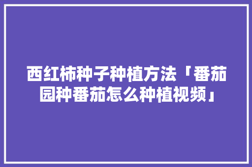 西红柿种子种植方法「番茄园种番茄怎么种植视频」 西红柿种子种植方法「番茄园种番茄怎么种植视频」 土壤施肥