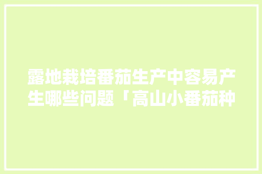 露地栽培番茄生产中容易产生哪些问题「高山小番茄种子怎么种植视频」 番茄种植技巧 露地栽培番茄生产中容易产生哪些问题「高山小番茄种子怎么种植视频」 露地栽培番茄生产中容易产生哪些问题「高山小番茄种子怎么种植视频」 番茄种植技巧
