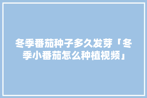 冬季番茄种子多久发芽「冬季小番茄怎么种植视频」 冬季番茄种子多久发芽「冬季小番茄怎么种植视频」 农业常识