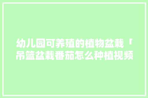 幼儿园可养殖的植物盆栽「吊篮盆栽番茄怎么种植视频」 幼儿园可养殖的植物盆栽「吊篮盆栽番茄怎么种植视频」 番茄病虫害防治