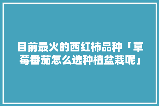 目前最火的西红柿品种「草莓番茄怎么选种植盆栽呢」 目前最火的西红柿品种「草莓番茄怎么选种植盆栽呢」 番茄种植技巧