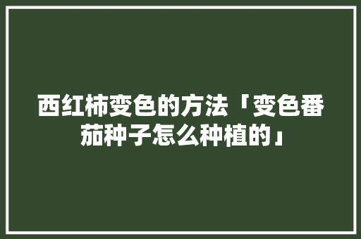 西红柿变色的方法「变色番茄种子怎么种植的」 西红柿变色的方法「变色番茄种子怎么种植的」 种植技巧