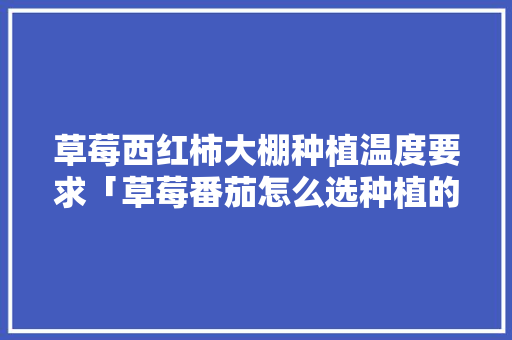 草莓西红柿大棚种植温度要求「草莓番茄怎么选种植的品种」 番茄病虫害防治 草莓西红柿大棚种植温度要求「草莓番茄怎么选种植的品种」 草莓西红柿大棚种植温度要求「草莓番茄怎么选种植的品种」 番茄病虫害防治