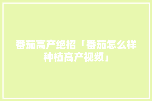 番茄高产绝招「番茄怎么样种植高产视频」