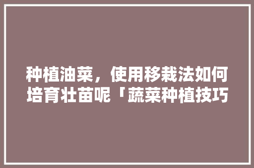 种植油菜，使用移栽法如何培育壮苗呢「蔬菜种植技巧油菜图片」