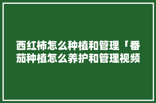 西红柿怎么种植和管理「番茄种植怎么养护和管理视频」 西红柿怎么种植和管理「番茄种植怎么养护和管理视频」 番茄病虫害防治