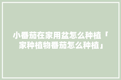 小番茄在家用盆怎么种植「家种植物番茄怎么种植」 土壤施肥 小番茄在家用盆怎么种植「家种植物番茄怎么种植」 小番茄在家用盆怎么种植「家种植物番茄怎么种植」 土壤施肥