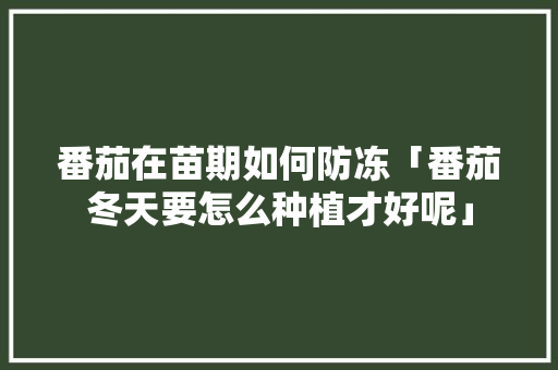 番茄在苗期如何防冻「番茄冬天要怎么种植才好呢」 农业常识 番茄在苗期如何防冻「番茄冬天要怎么种植才好呢」 番茄在苗期如何防冻「番茄冬天要怎么种植才好呢」 农业常识