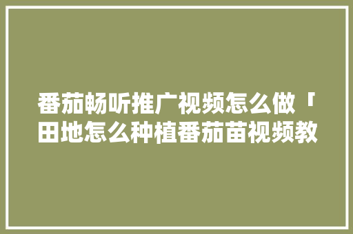 番茄畅听推广视频怎么做「田地怎么种植番茄苗视频教程」 番茄畅听推广视频怎么做「田地怎么种植番茄苗视频教程」 种植技巧