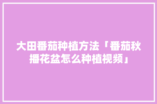 大田番茄种植方法「番茄秋播花盆怎么种植视频」 大田番茄种植方法「番茄秋播花盆怎么种植视频」 花朵知识