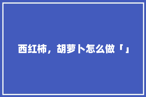 西红柿，胡萝卜怎么做「」