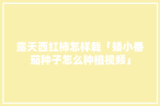 露天西红柿怎样栽「矮小番茄种子怎么种植视频」 露天西红柿怎样栽「矮小番茄种子怎么种植视频」 番茄种植技巧