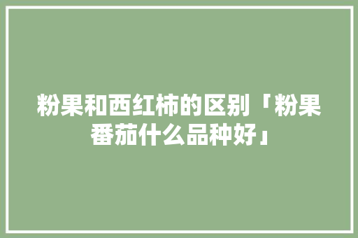 粉果和西红柿的区别「粉果番茄什么品种好」 粉果和西红柿的区别「粉果番茄什么品种好」 种植技巧