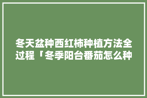 冬天盆种西红柿种植方法全过程「冬季阳台番茄怎么种植视频」 冬天盆种西红柿种植方法全过程「冬季阳台番茄怎么种植视频」 番茄病虫害防治