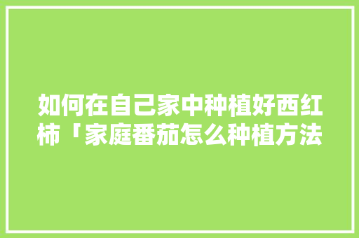 如何在自己家中种植好西红柿「家庭番茄怎么种植方法」 如何在自己家中种植好西红柿「家庭番茄怎么种植方法」 土壤施肥