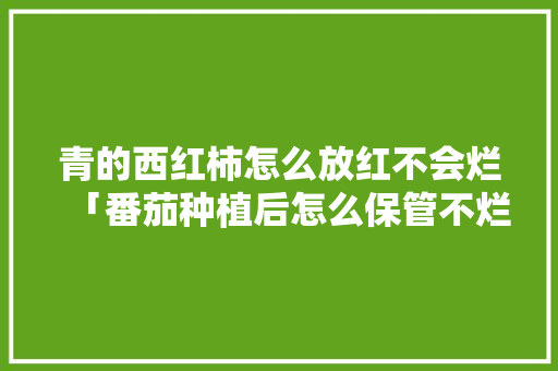 青的西红柿怎么放红不会烂「番茄种植后怎么保管不烂根」 青的西红柿怎么放红不会烂「番茄种植后怎么保管不烂根」 花朵知识